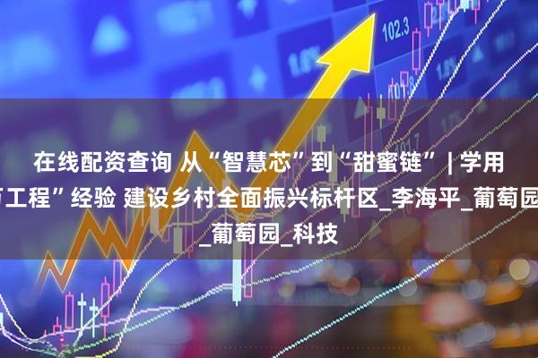 在线配资查询 从“智慧芯”到“甜蜜链” | 学用“千万工程”经验 建设乡村全面振兴标杆区_李海平_葡萄园_科技